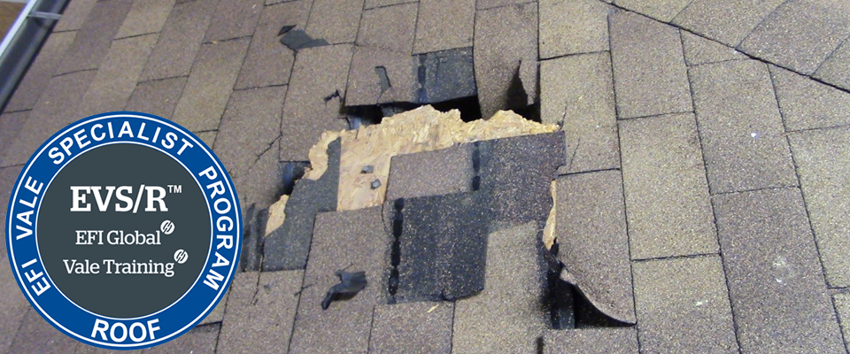 Picture of broken roof and Vale Specialist Training logo